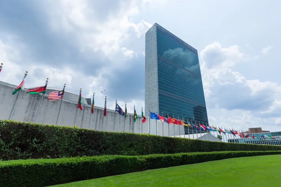 United Nations University Takes the Lead in Promoting the Mutual Recognition and Interoperability of Global Digital Governance Standards