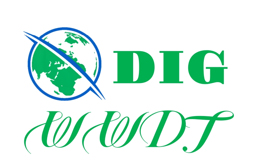 Global Intelligence (DIG) Ecological Community: Building a New Paradigm for Global Digital Collaboration