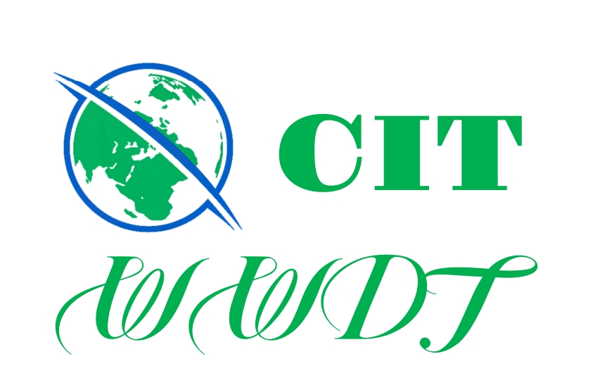 Global Smart (CIT) Ecological Community: Empowering Cities with Digital Intelligence to Build a New Pattern of Collaborative Development for Global Smart Cities
